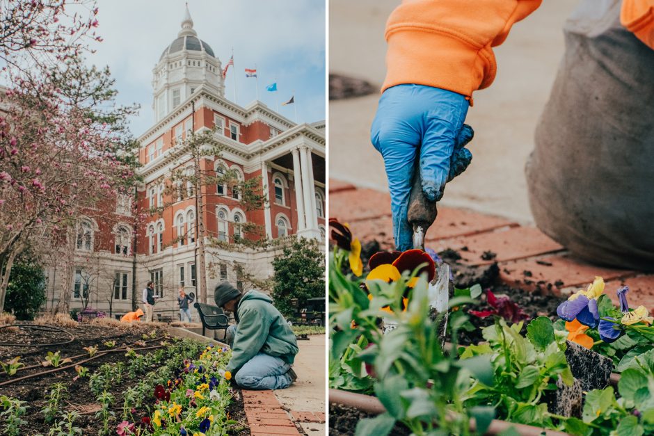 Landscape services employee, Brian Thomas, plants flowers in one of the garden beds along Francis Quadrangle.