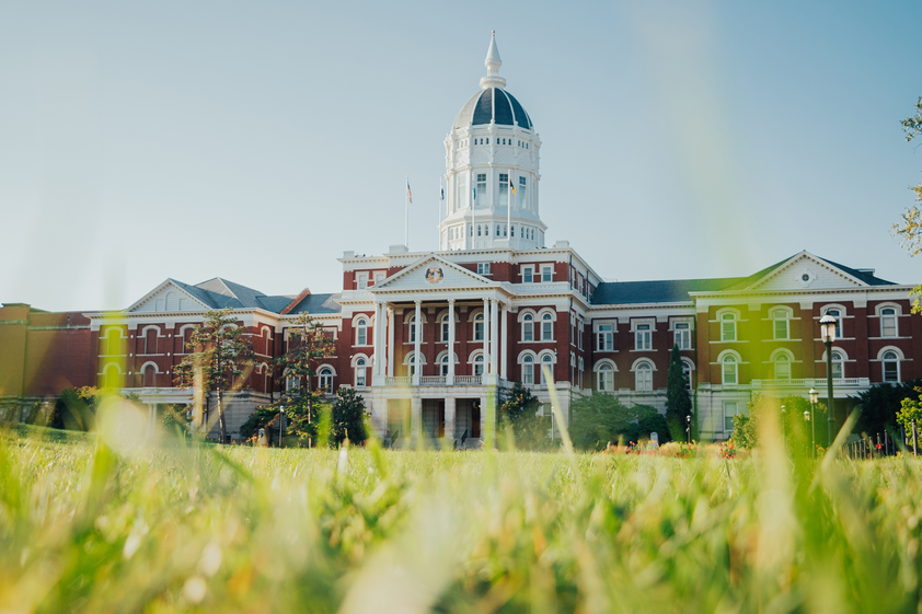 A low-angle view of Jesse Hall through the grass.