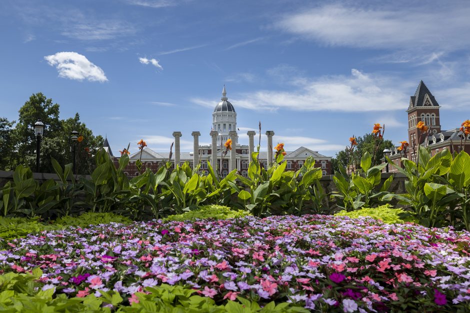 Eighth Street Garden in full bloom with Columns and Jesse Hall in the background.