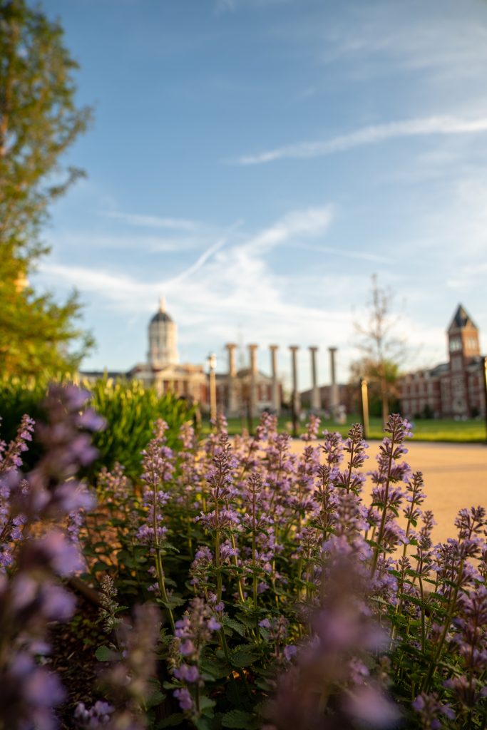 Flower garden on the Francis Quadrangle