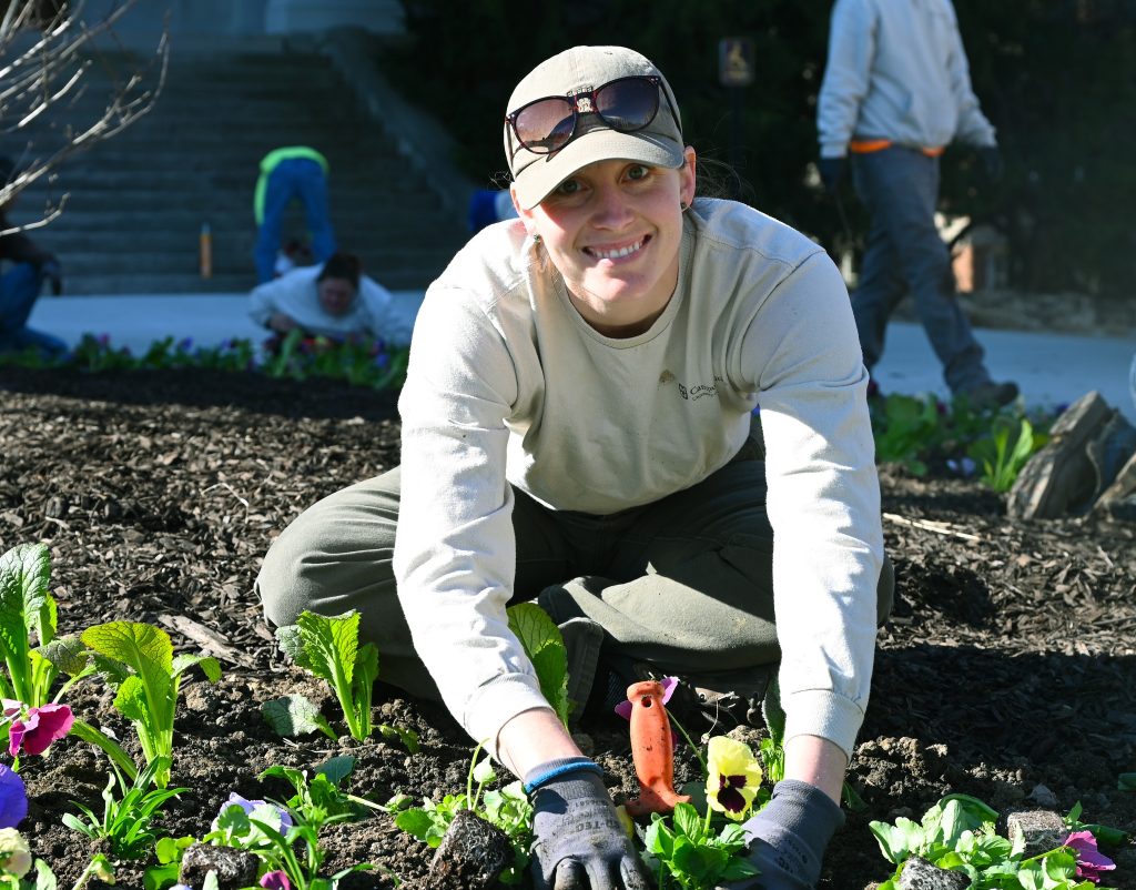 Landscape Services planting flowers