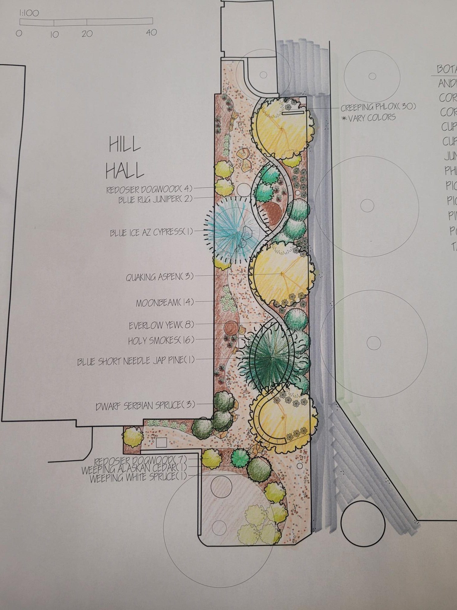 Alpine Stream Concept Plan