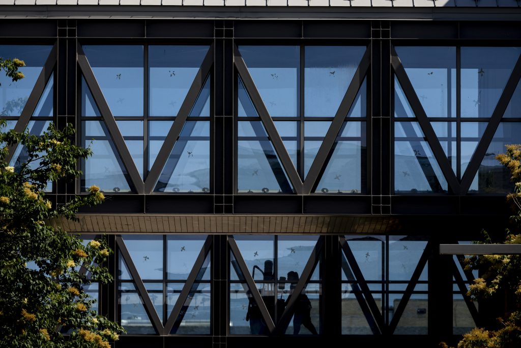 Custodial walks The Value Halls Bridge