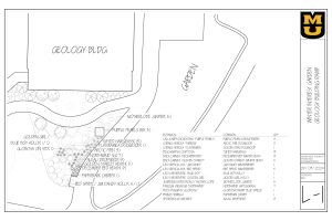 Winter Interest Garden Outline