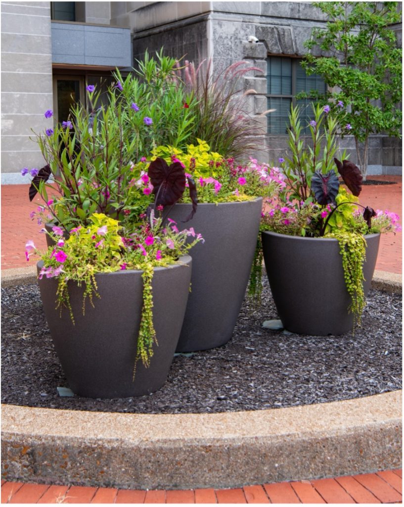 Self-Watering Container Gardens