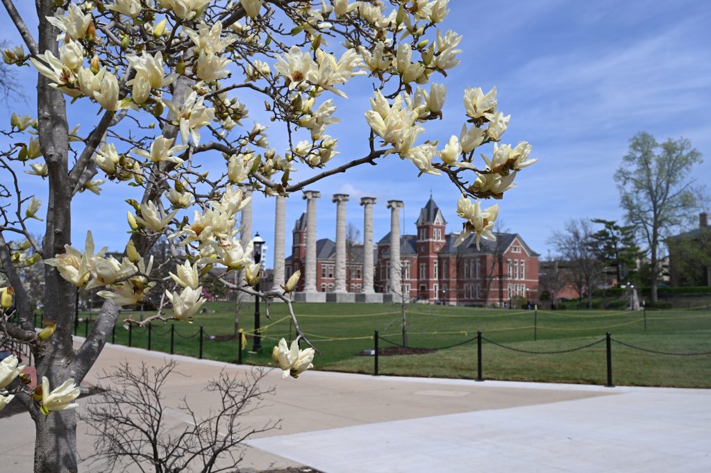 Columns with flowering trees