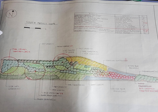 Ornamental Grass Garden