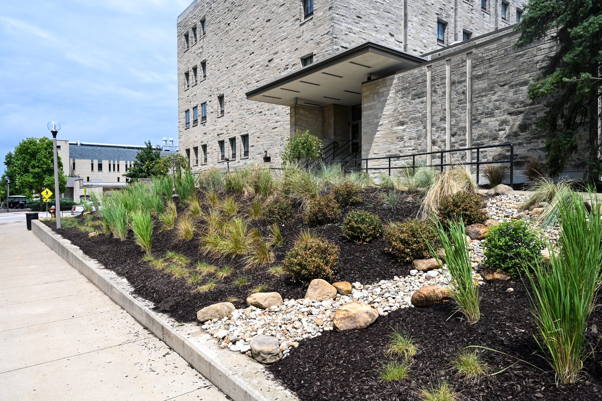 Ornamental Grass Garden by the Physics Building