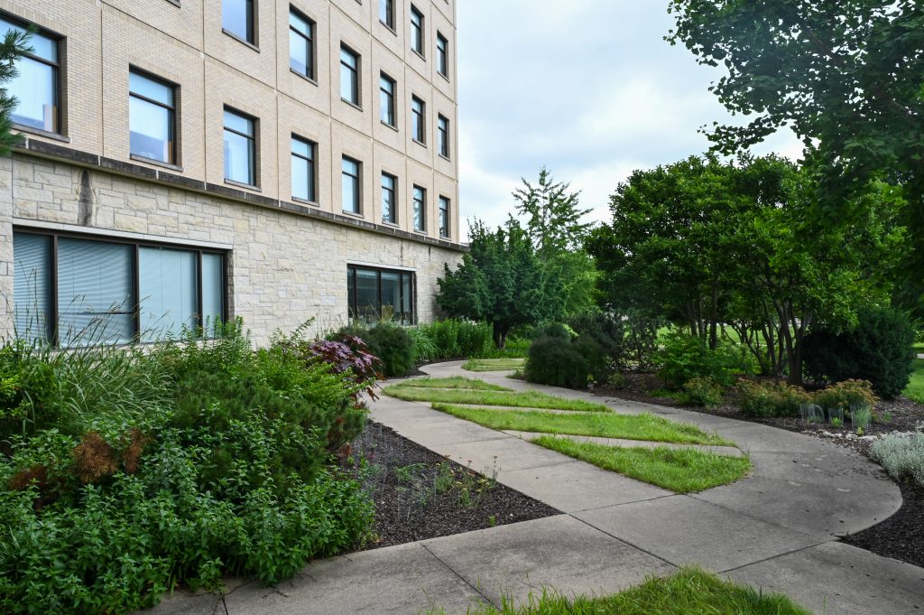 Discovery Garden