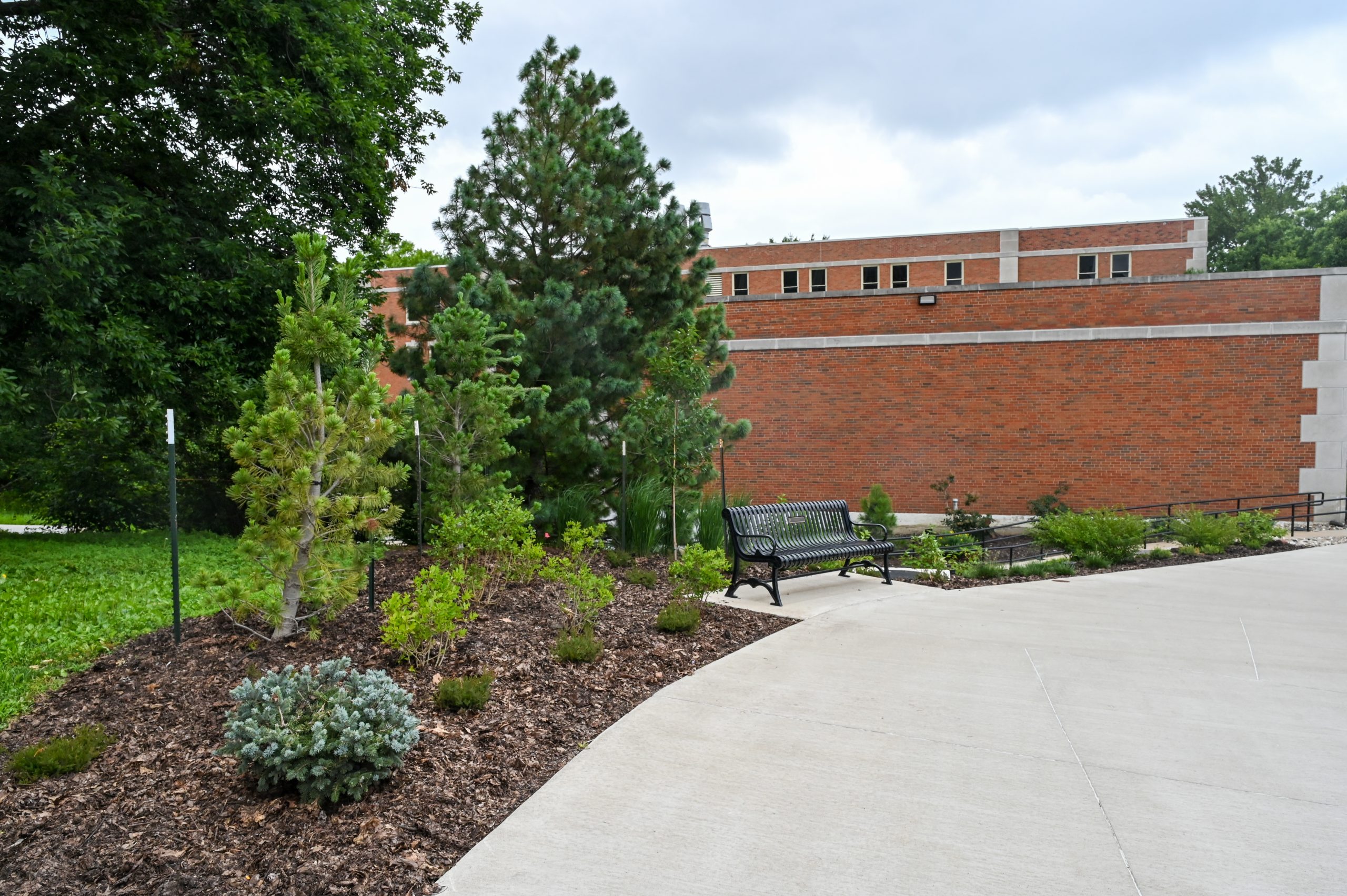 Winter Interest Garden