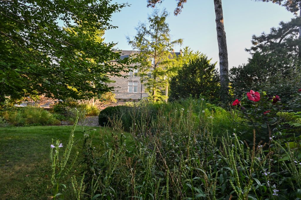 Ellis Perennial Garden