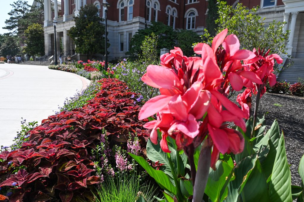 Triangle Floral Display Gardens
